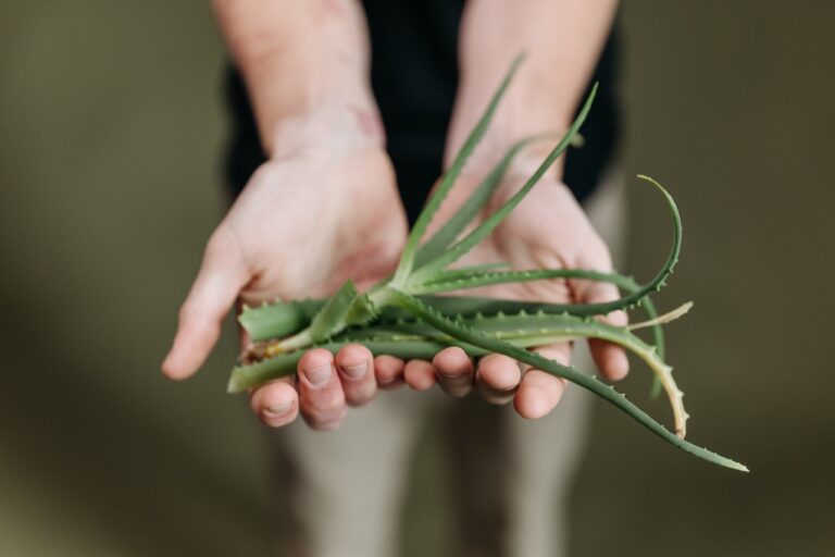 Aloe Vera gel